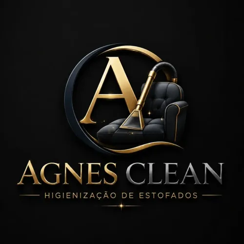 Limpeza higienização e desinfecção de estofados.
