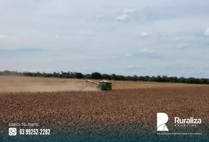 Tupirama - TO Visita somente mediante cadastro. 2.000 ha de lavoura disponíveis para arren