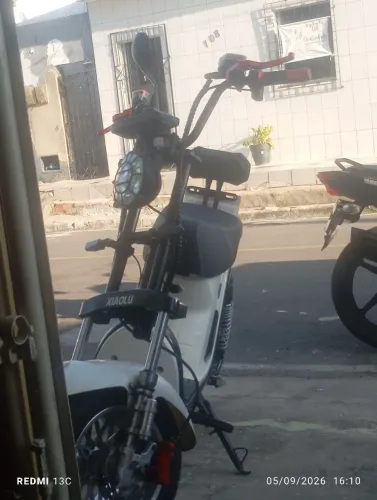 Vendo motinha