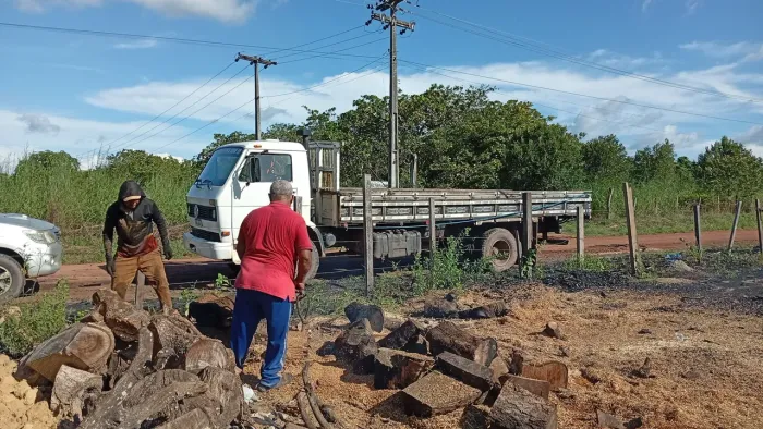 Corte e podagem de árvores e fretes em geral