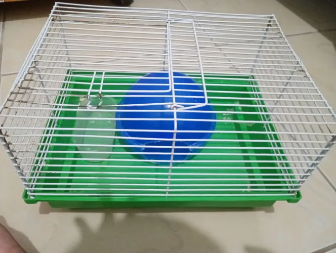 Casinha simples para hamster