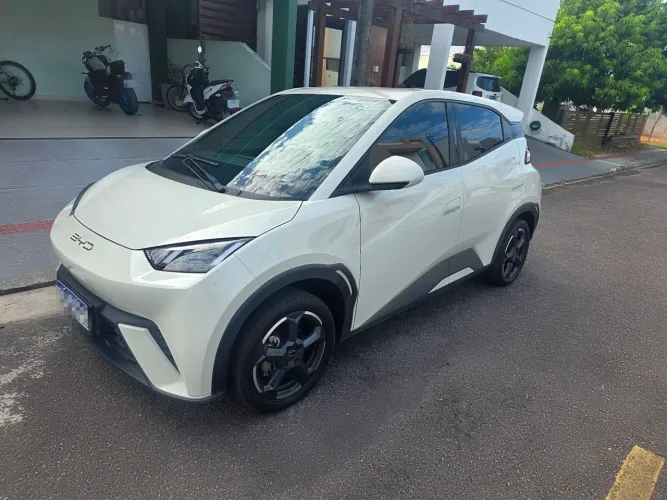 BYD Dolphin Mini (Elétrico) 2024
