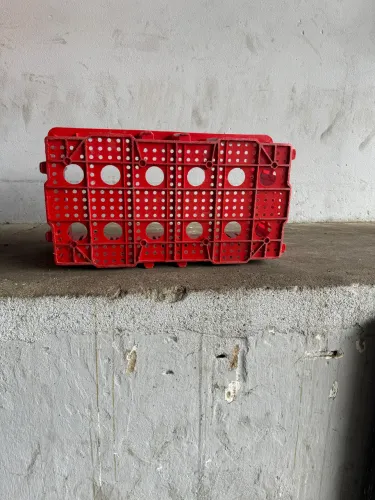 Vendo caixa , para transportar ovos!!!