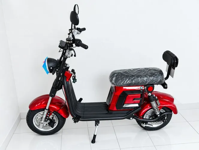 Scooter elétrica x12