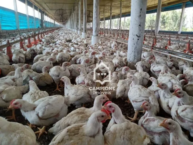 Sítio à venda, 243600 m² por R$ 4.000.000,00 - Zona Rural - Iperó/SP