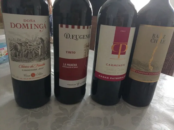 Lote com 11 garrafas de vinhos e espumantes lacrados.