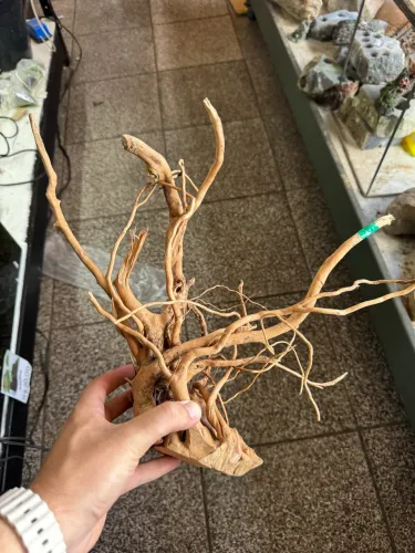 Raizes para aquário
