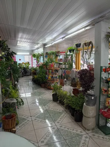 Floricultura à venda - Localização estratégica - Cliente fidelizado