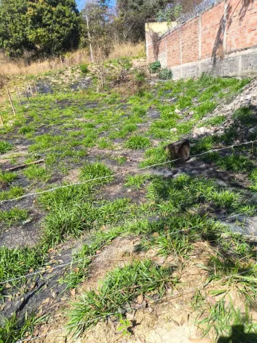 Vendo loja no bairro Melo Viana esmeralda lote de família 360 metros