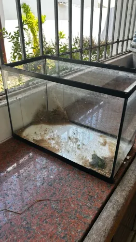 Aquário