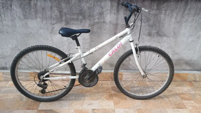 Bicicleta Ceci