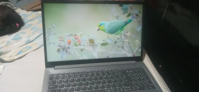 Lenovo IdeaPad 1 15.6" Full HD Celeron 4GB 128GB 2026 - Bateria Boa