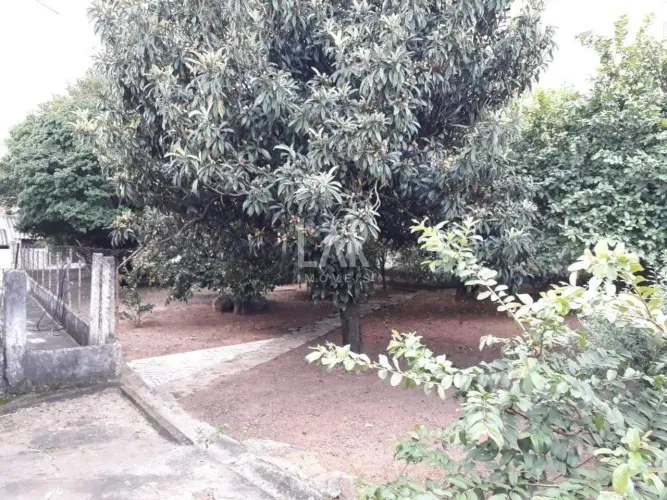 Lote - Terreno à venda, Pompéia - Belo Horizonte/MG