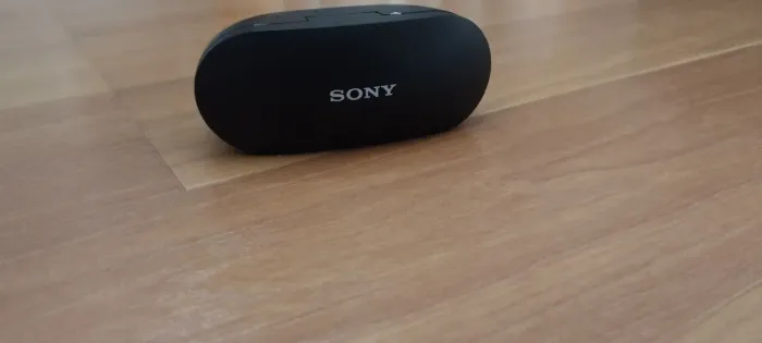 Somente a case Sony WF-SP800N True Wireless com cancelamento de ruído.
