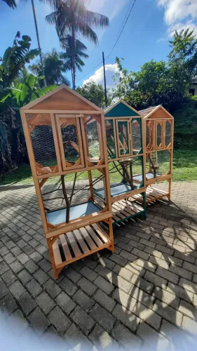 Viveiro A pronta entrega