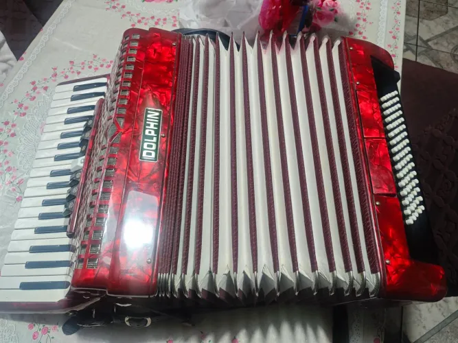 Acordeon DOLPHIN 80 Baixos