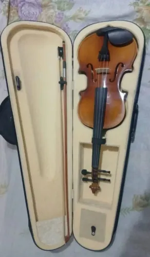 Violino profissional
