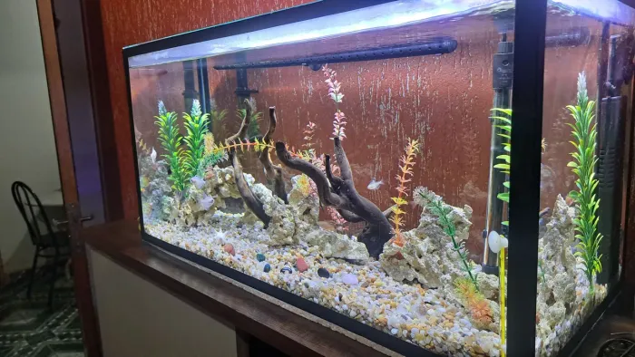 Aquario 80 litros