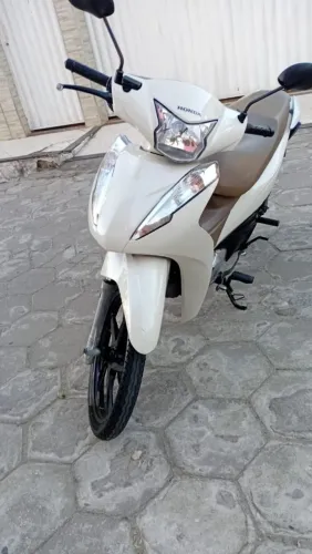 Vendo biz 2024/205