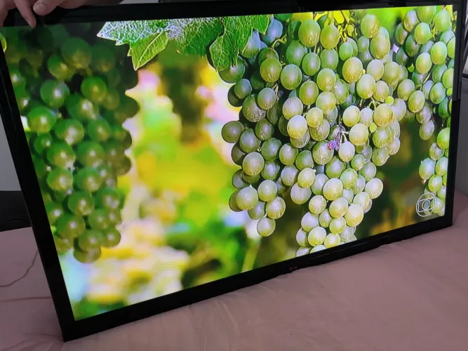 Vendo TV 50 polegadas