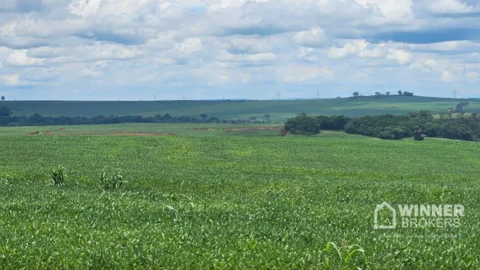 Sítio à venda, 242000 m² por R$ 20.000.000,00 - Parque Industrial Mário Bulhões - Maringá/