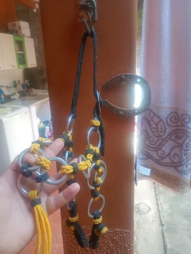 Traia cavalo