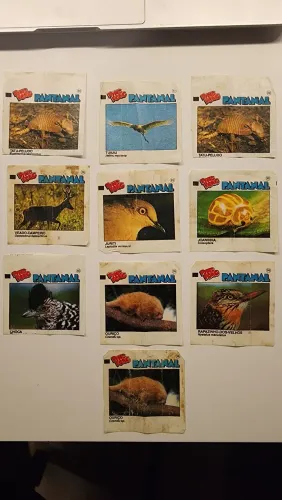 Figurinhas Álbum Ping Pong Pantanal