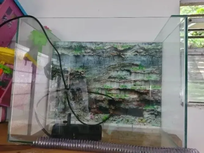 Aquário 24L com bomba