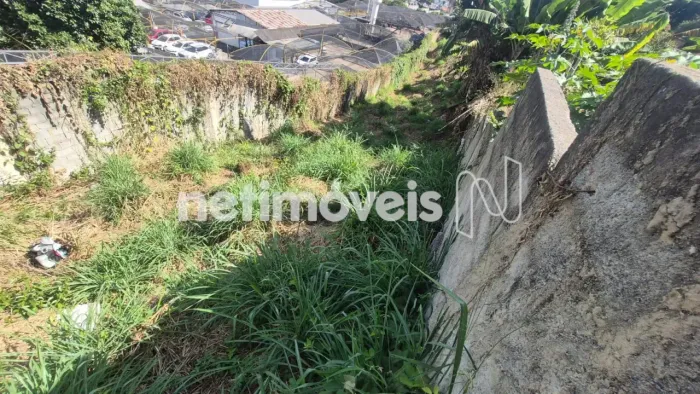 Lote de 600 m²; à venda na região da Pampulha/São Francisco!