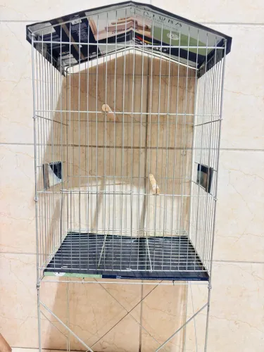 VENDE-SE GAIOLA de passarinhos