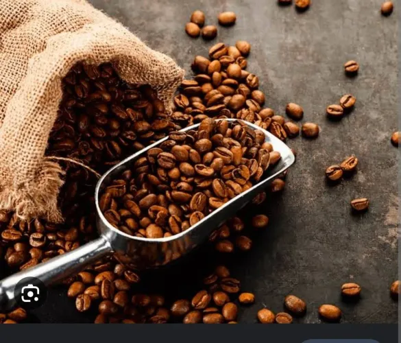 Café torrado moído ou verde