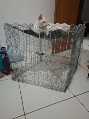 Cercado para animais recém nascidos.