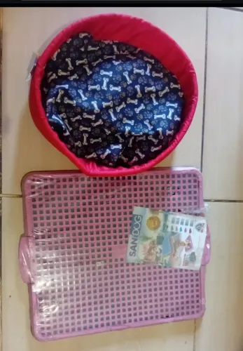 Kit de gato