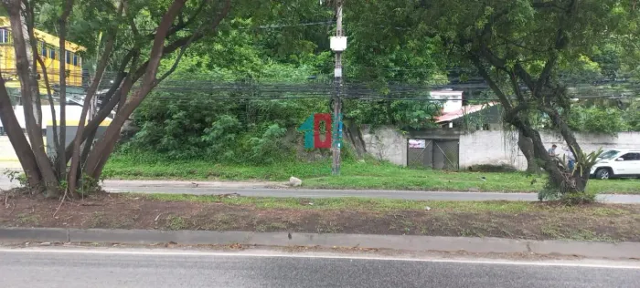 Barra Olímpica | Terreno