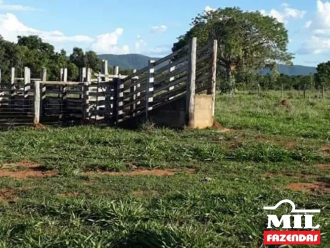 Fazenda em Minaçu-GO. . 50 Alq. (242Há). Boa p/ Soja