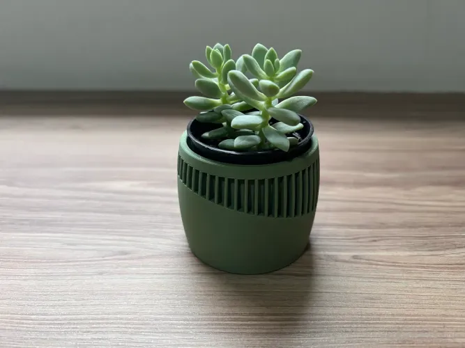 Vaso para mini suculenta