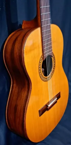 Violão Di Giorgio Clássico, tampo sólido clássico cordas de nylon Giannini novas 