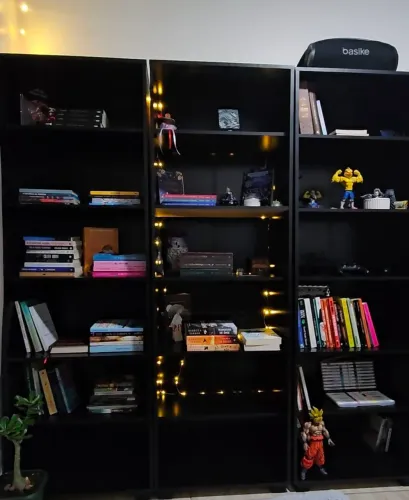 Vendo estante de livros ou decoração