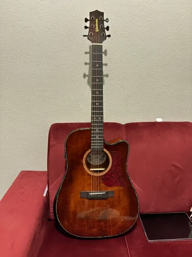 Violão Waldman Zerado com capa de luxo 