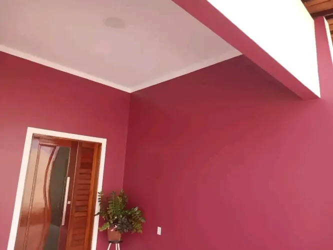 Pintor profissional