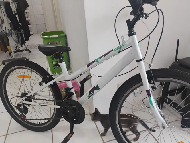 Bicicleta caloi