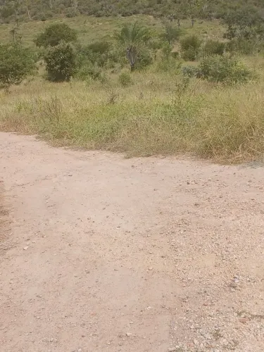 Terreno