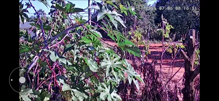 Jardinagem em geral