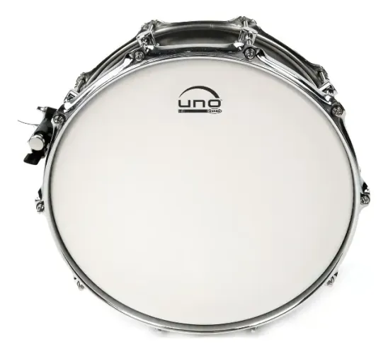 Pele Caixa 14 Porosa Evans Made In Usa Uno Ub 14hd
