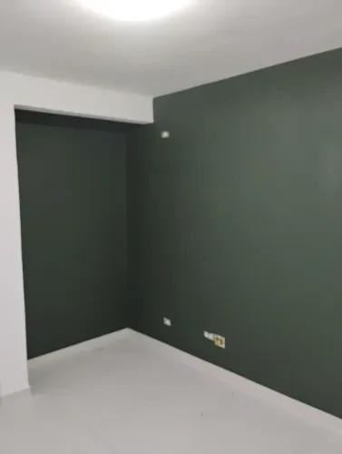 Pintor profissional com qualidade