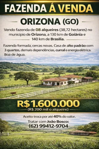 Fazenda à Venda em Orizona-GO | 8 Alqueires | Casa Alto Padrão | R$ 1,6 Mi
