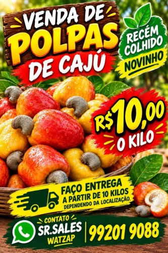 POLPAS DE CAJÚ 10,00 REAIS O KILO
