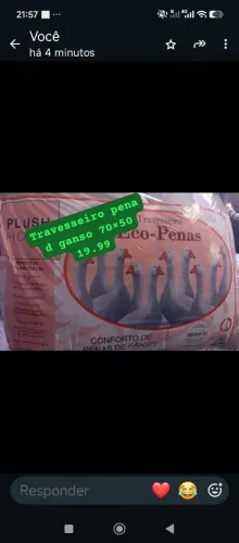 Travesseiro Pena de Ganso