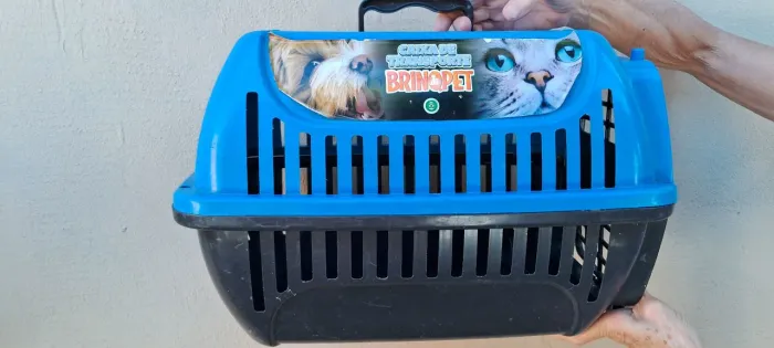 Caixa de transporte para pet