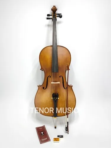 VIOLONCELO EAGLE CE300 4/4 NOVO - PROFISSIONAL